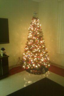 Nanuet EMS 2010 Christmas Tree